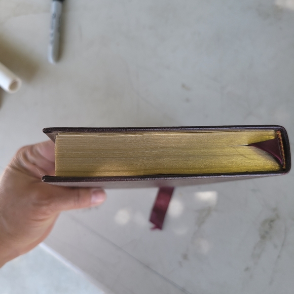 Roger Tory Peterson Field Guides - Picture 9 of 10